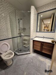 The Blossomvale (D21), Condominium #563013921
